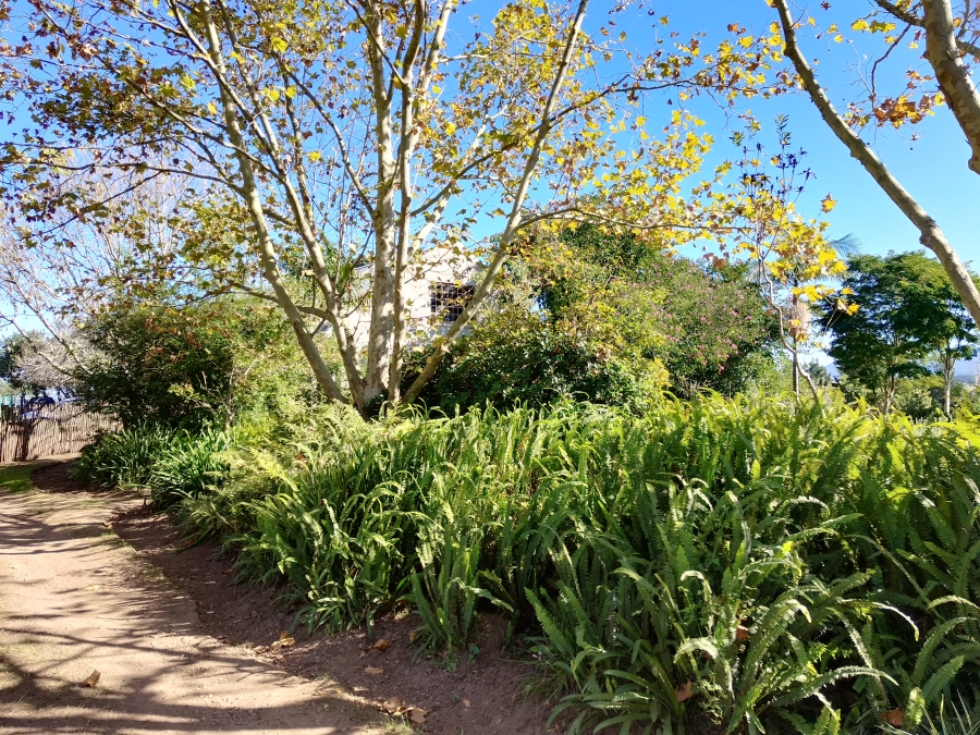 12 Bedroom Property for Sale in Friemersheim Western Cape